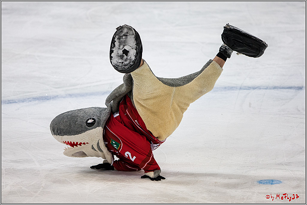 DEL, Koelner Haie - ERC Ingolstadt, 20.01.2017